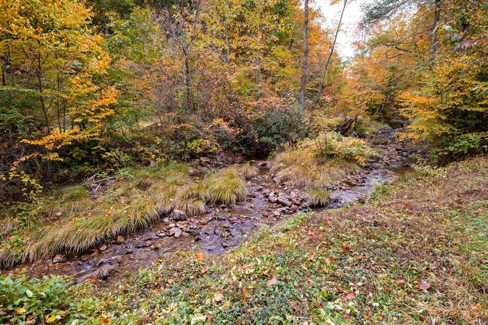 Photo #53: 860 Flat Ridge Road