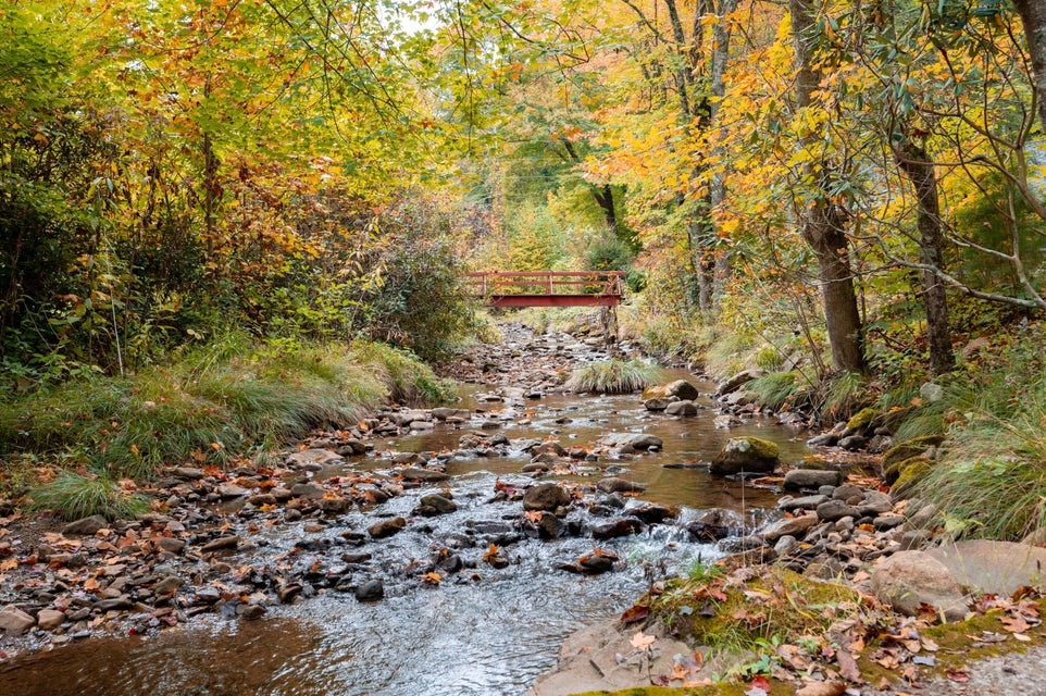 Photo #61: 860 Flat Ridge Road