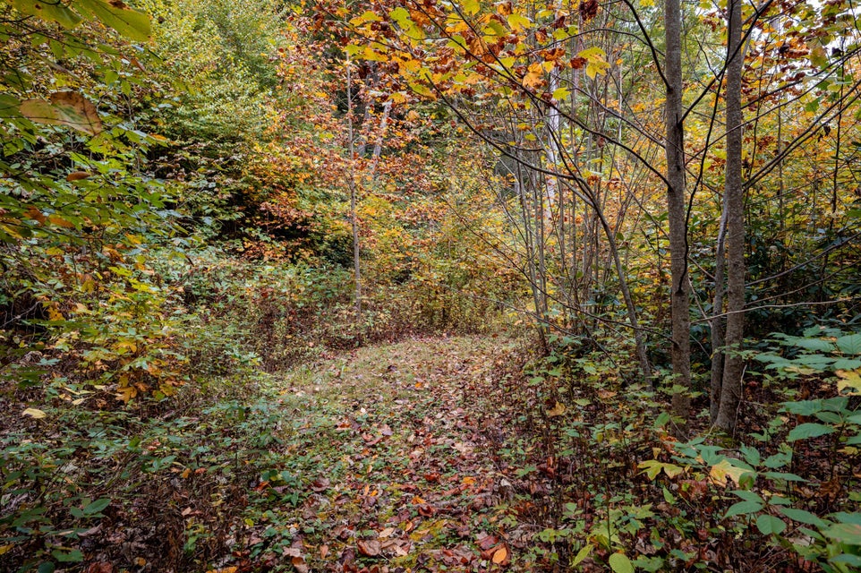Photo #65: 860 Flat Ridge Road