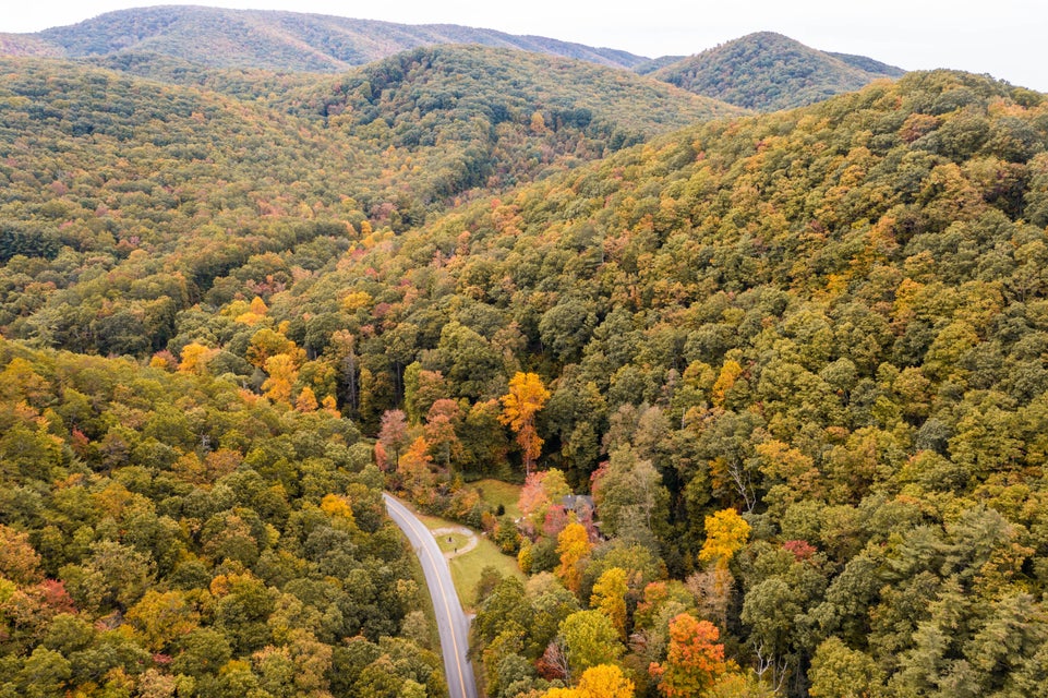 Photo #74: 860 Flat Ridge Road
