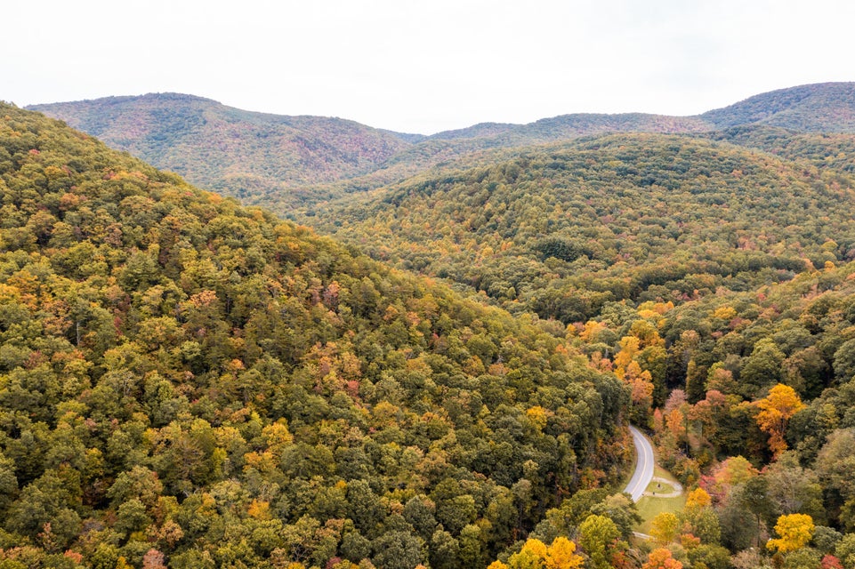 Photo #77: 860 Flat Ridge Road