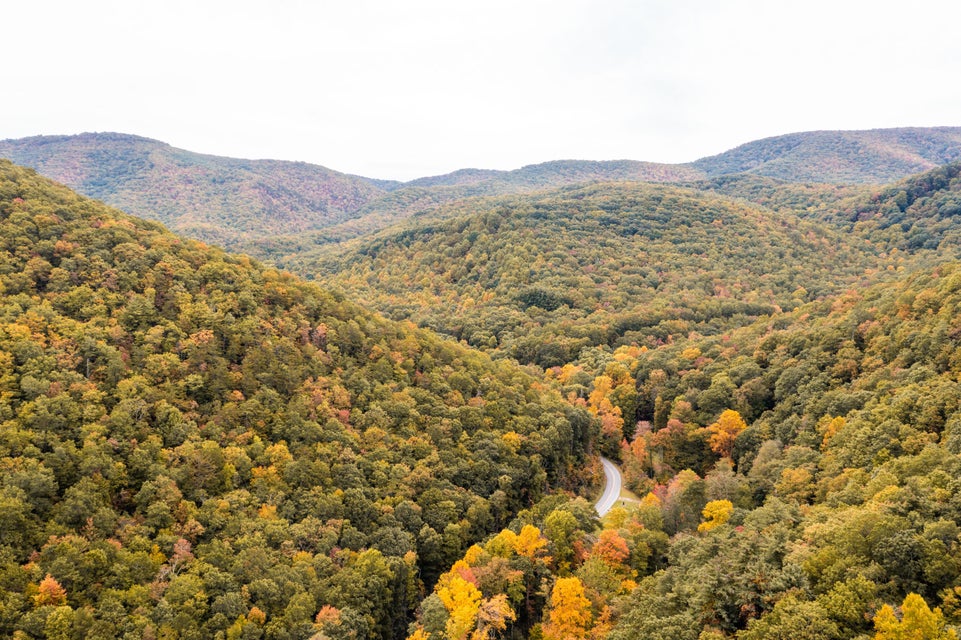 Photo #78: 860 Flat Ridge Road