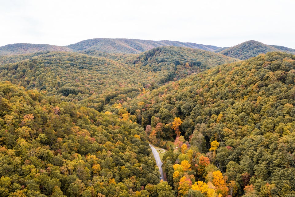 Photo #79: 860 Flat Ridge Road
