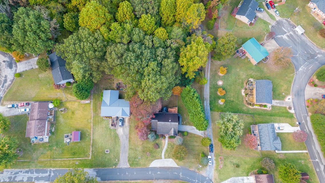 Photo #73: 923 Phyllis Street