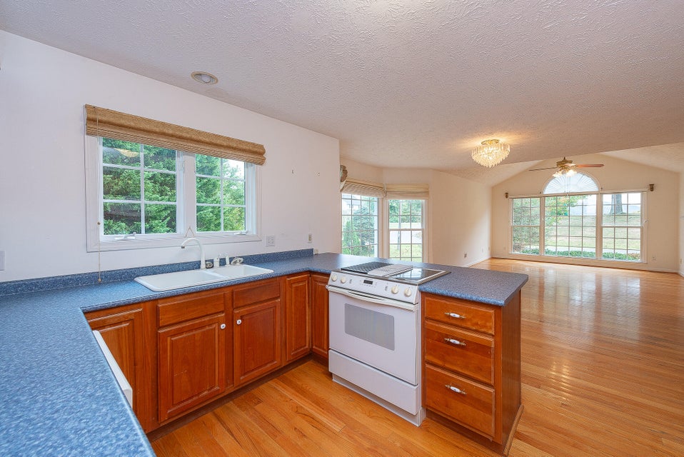 Photo #11: 923 Phyllis Street