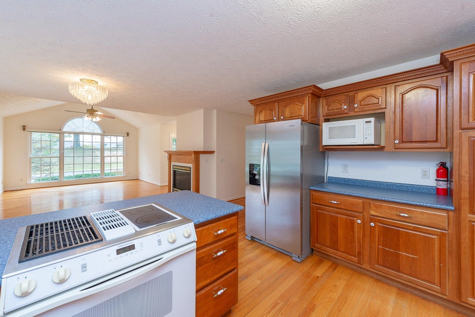 Photo #14: 923 Phyllis Street
