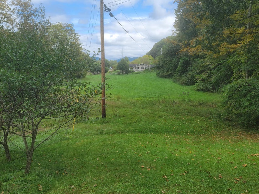 Photo #29: 1869 Daniel Boone Road