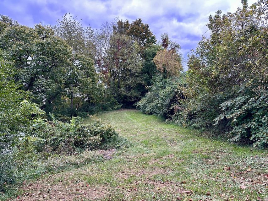 Photo #4: 1611 Carter Avenue