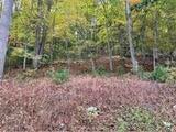 Photo #5: Lot 1 Callalantee Drive