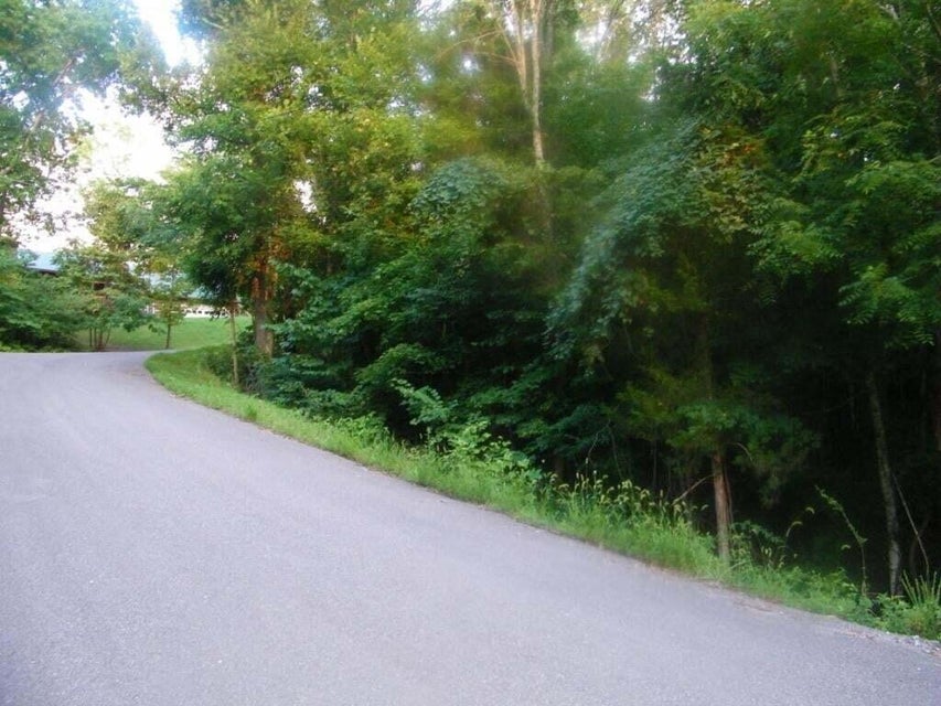 Photo #14: 0 Log Cabin Lane