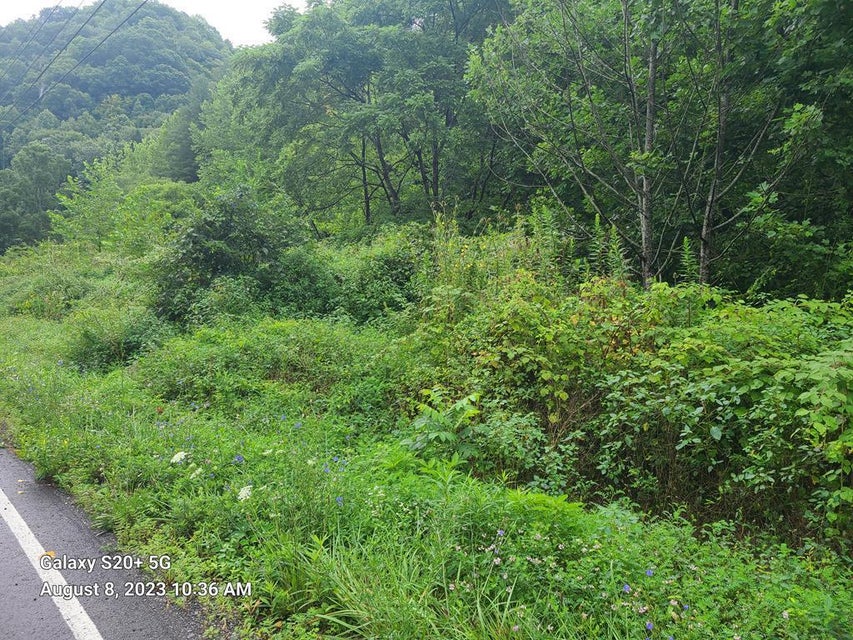 Tbd Garden Creek Road, Rowe, Virginia 24646 — Apple.Re