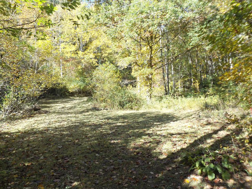 Photo #16: 159 Dugger Branch Road
