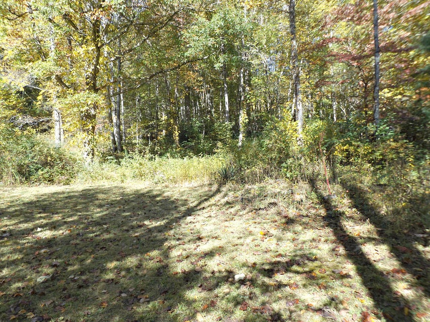 Photo #17: 159 Dugger Branch Road
