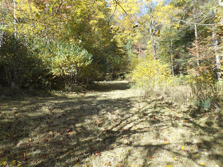 Photo #19: 159 Dugger Branch Road