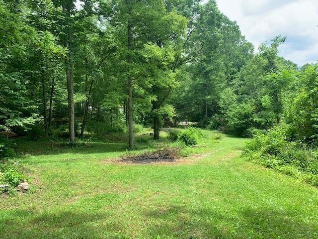 Photo #7: 159 Dugger Branch Road