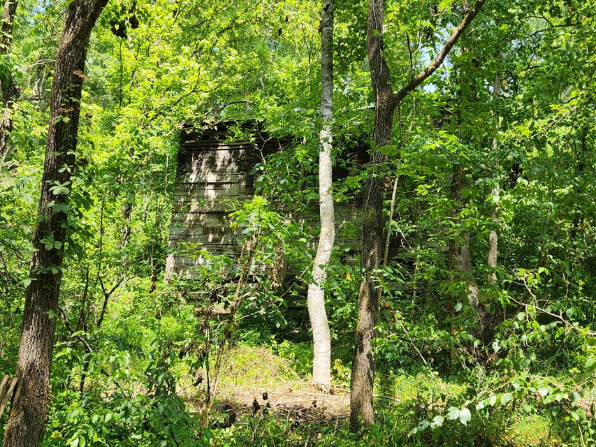 Photo #25: Tbd Carter Cave Road