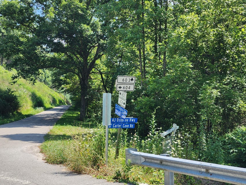 Photo #2: Tbd Carter Cave Road