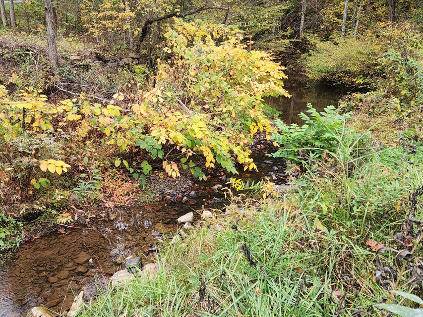 Photo #9: Tbd Carter Cave Road