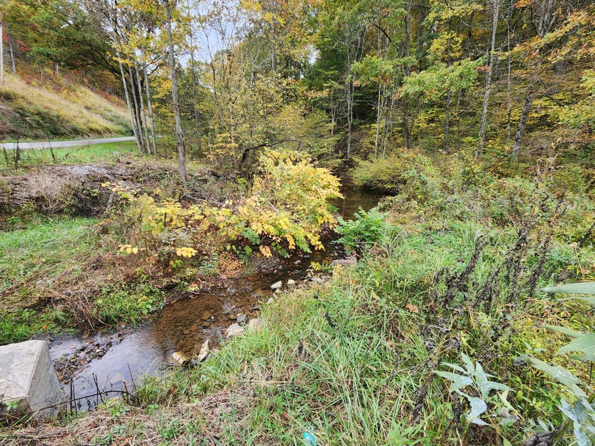 Photo #28: Tbd Carter Cave Road