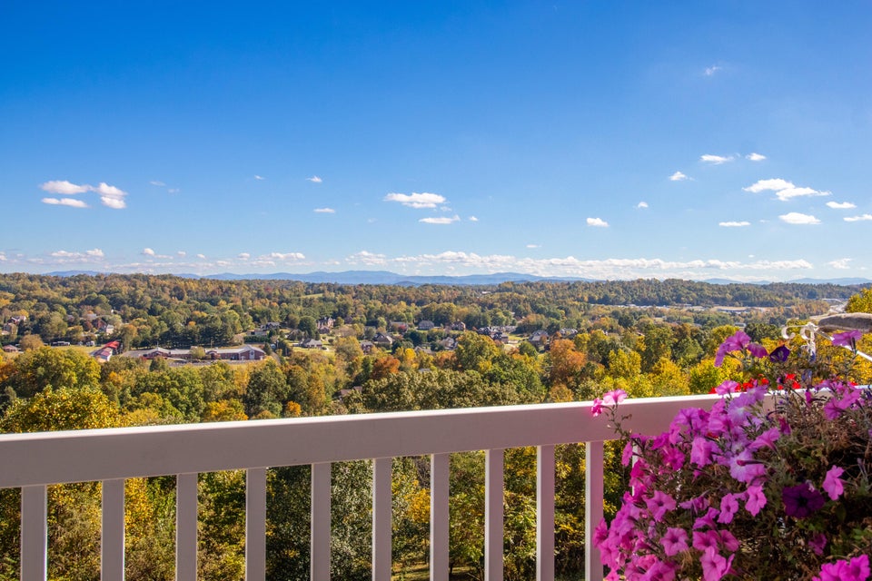 Photo #30: 2317 Colonial View Road