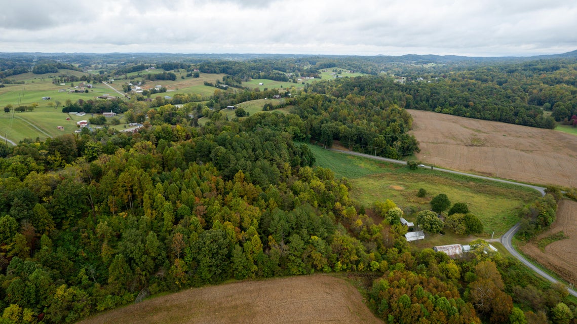 Photo #77: 401 Arrowood Road