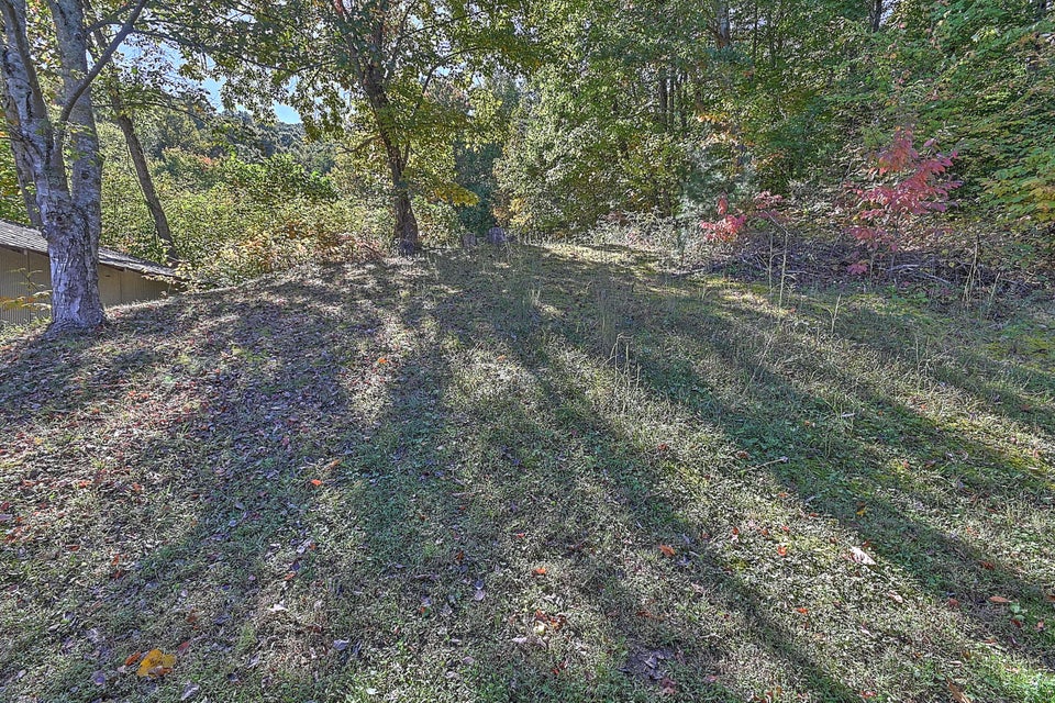 Photo #36: 420 Bearfield Road
