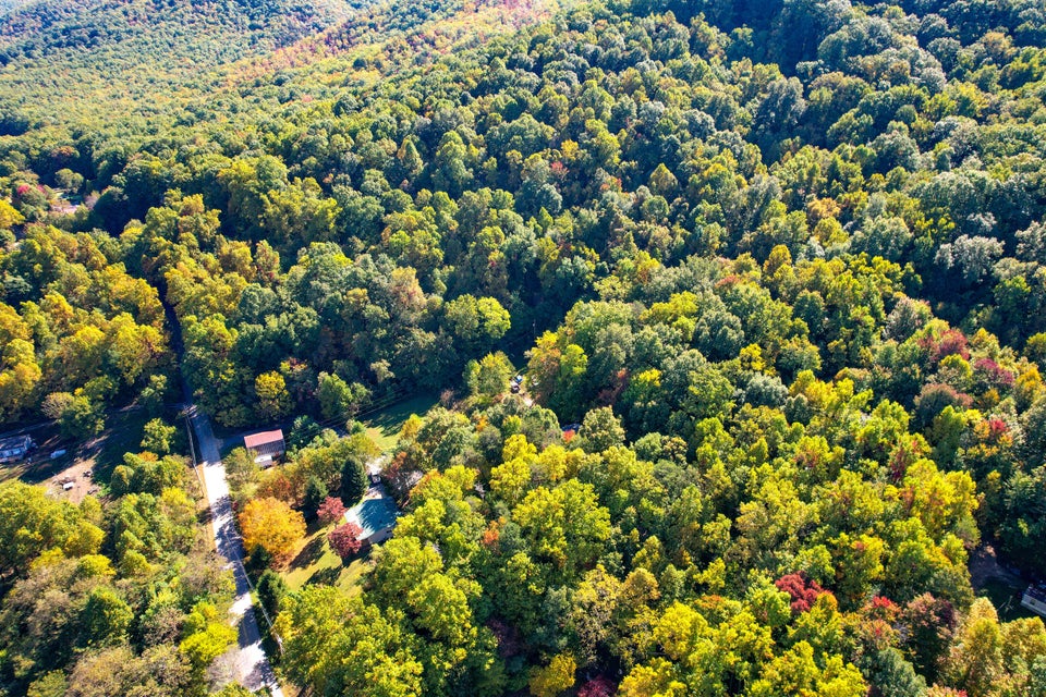 Photo #46: 420 Bearfield Road