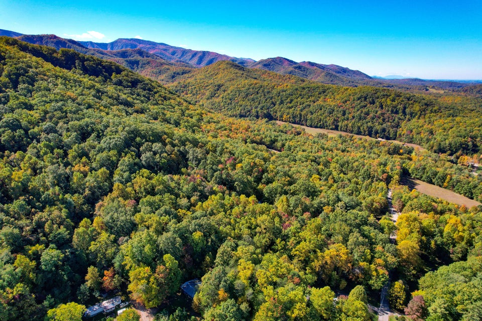 Photo #41: 420 Bearfield Road