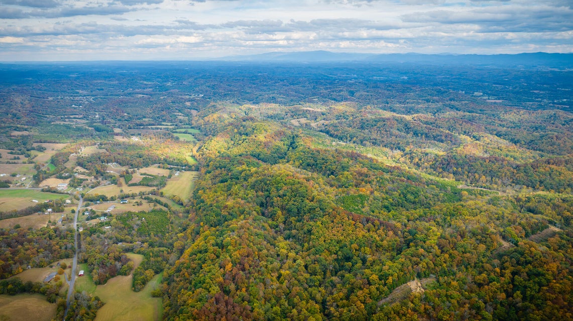 Photo #16: Tbd Holt Town Rd Off 