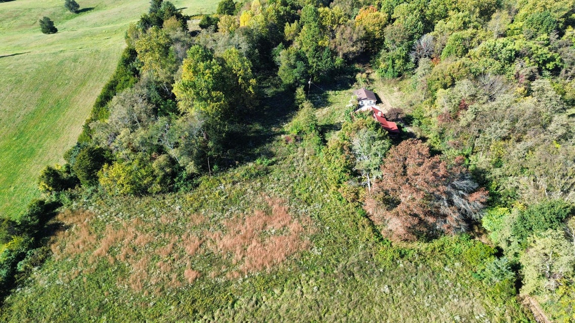Photo #40: 544 Shinbone Road