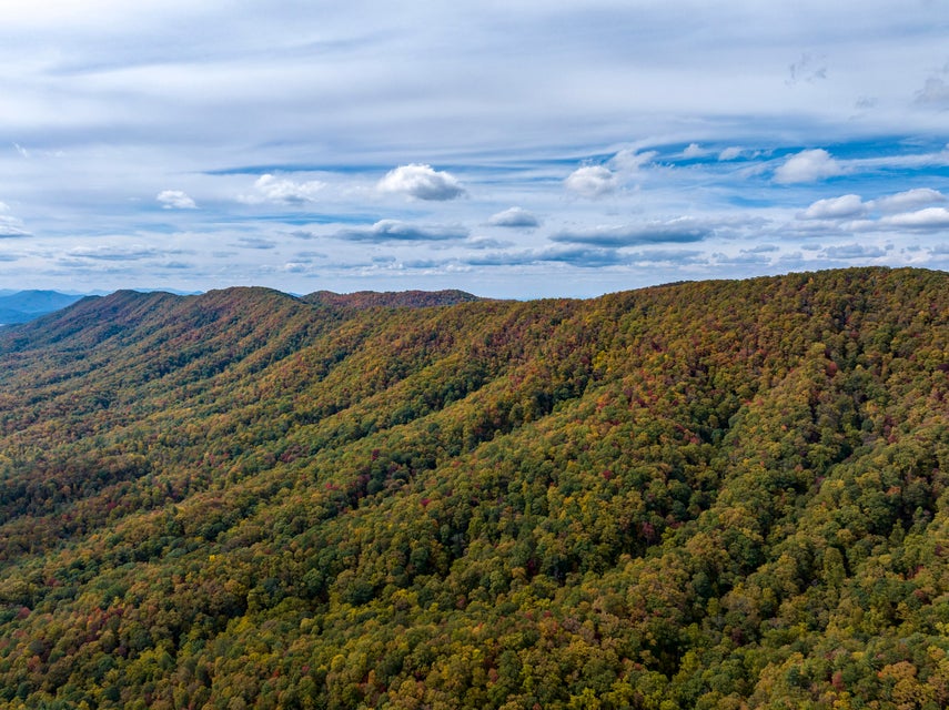 Photo #54: 15401 Highway 67