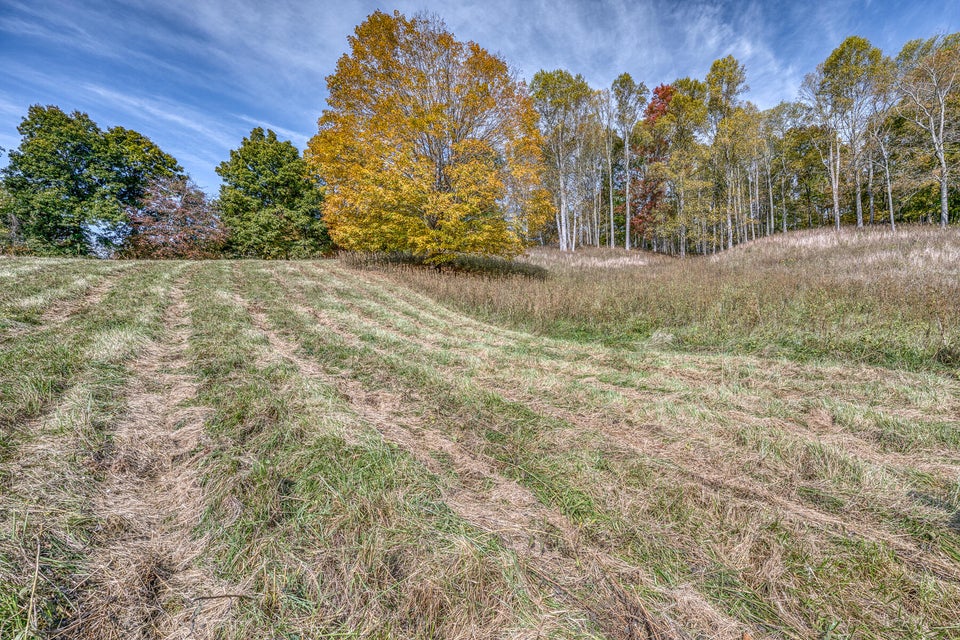 Photo #41: 16517 Rich Valley Road