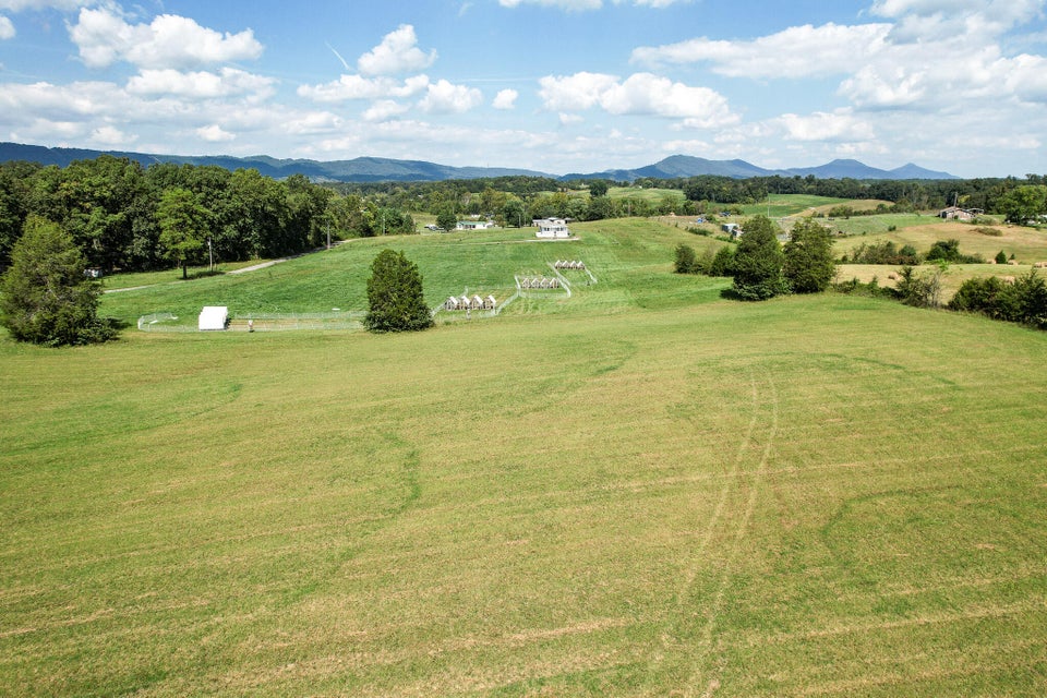 Photo #26: 1280 Billy Bible Road