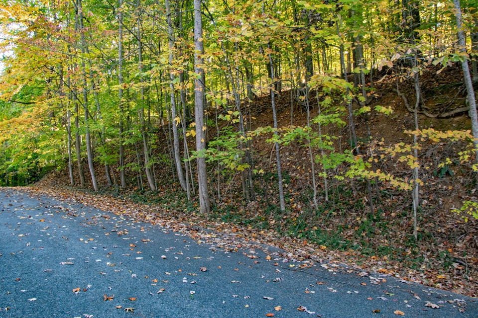 Photo #2: Lot 13 Skyline Drive