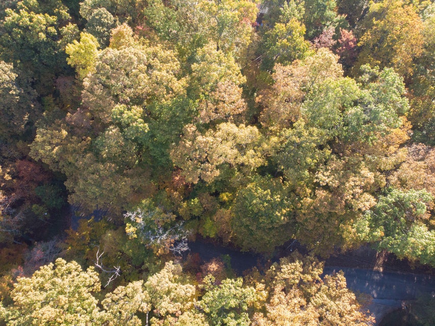 Photo #5: Lot 13 Skyline Drive