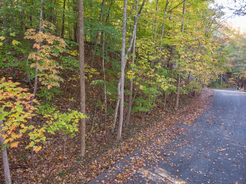 Photo #10: Lot 13 Skyline Drive