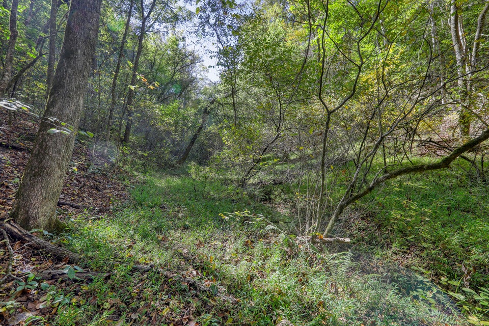 Photo #54: 651 N Highway 340