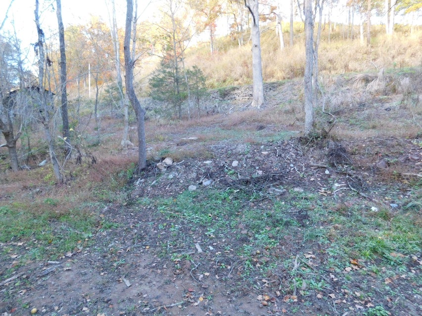 Photo #12: Tbd Carter Cave Road
