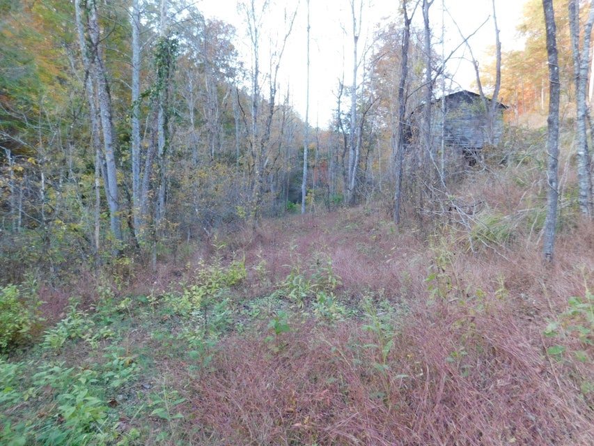 Photo #14: Tbd Carter Cave Road