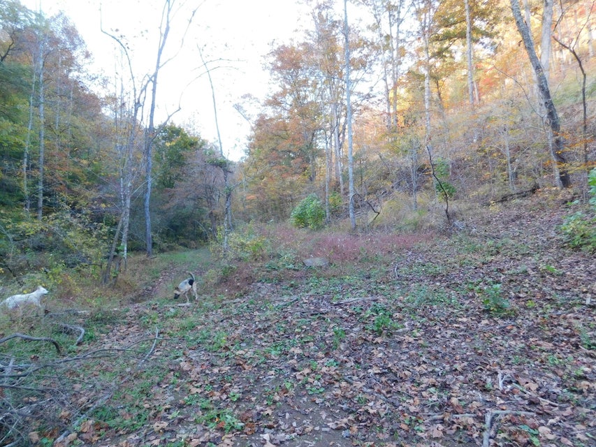 Photo #21: Tbd Carter Cave Road