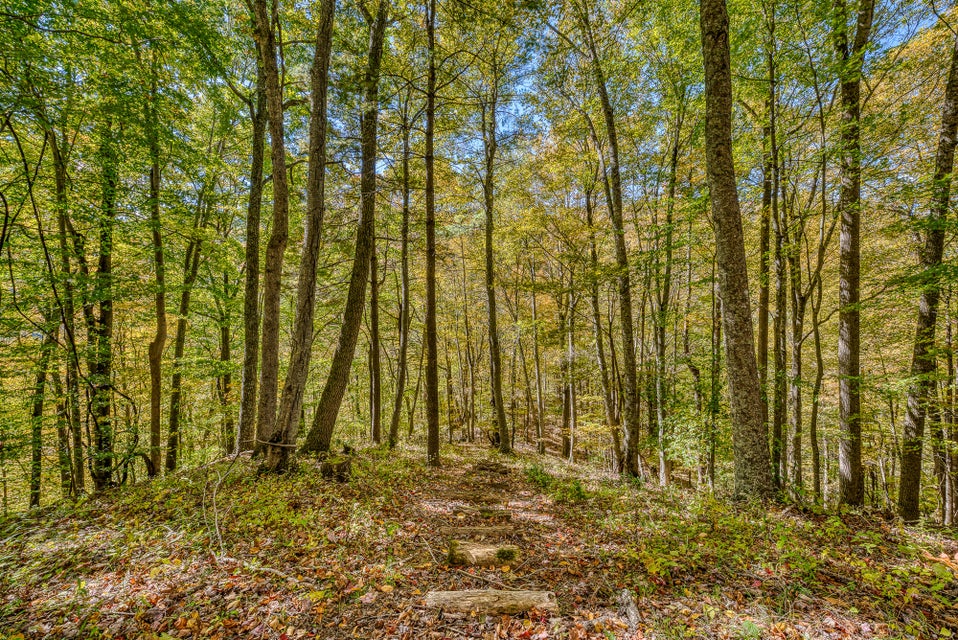 Photo #45: 215 Running Bare Road