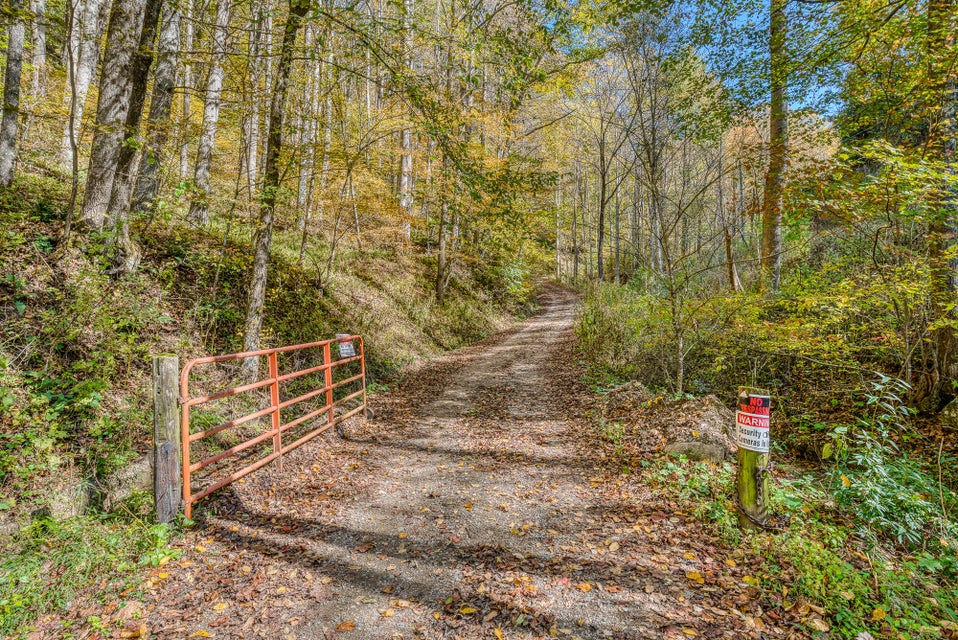 Photo #43: 215 Running Bare Road