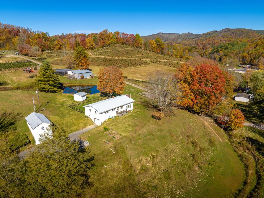 Photo #2: 1234 Bulldog Road