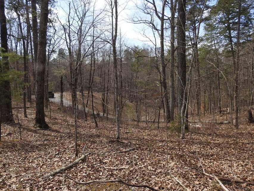 Photo #5: 0 Mcmahan Dr