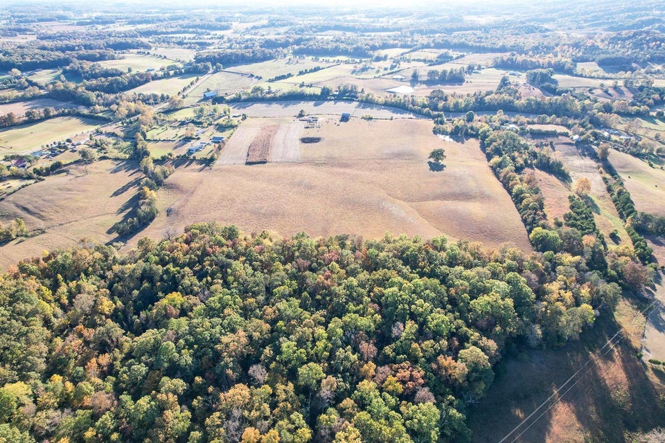 Photo #8: 72.65 Ac Horton Highway