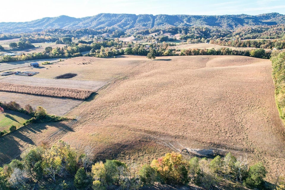 Photo #9: 72.65 Ac Horton Highway