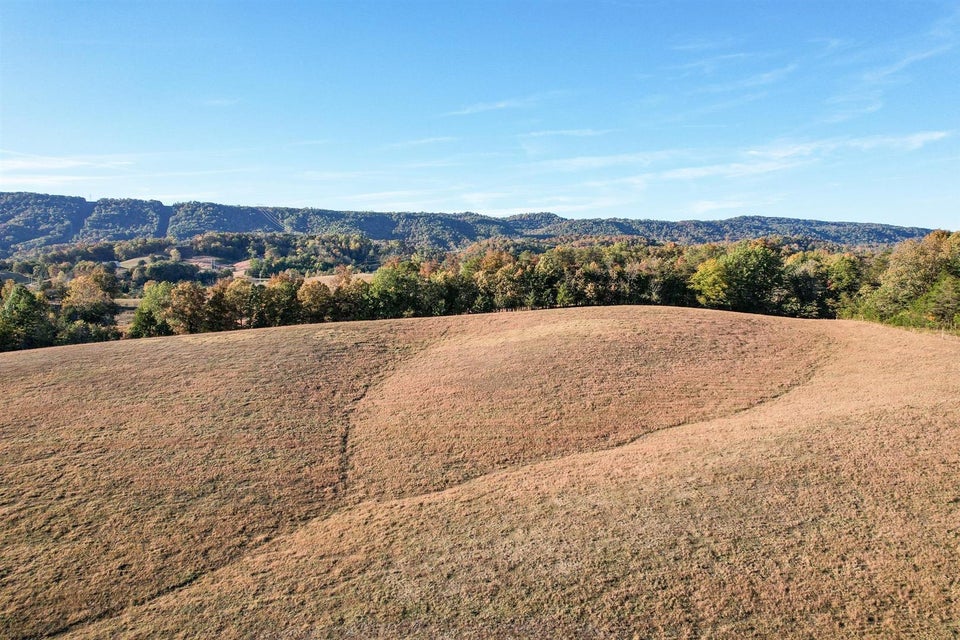 Photo #11: 72.65 Ac Horton Highway