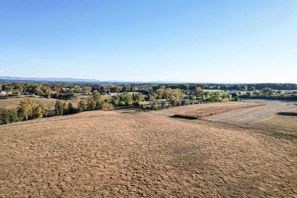 Photo #12: 72.65 Ac Horton Highway