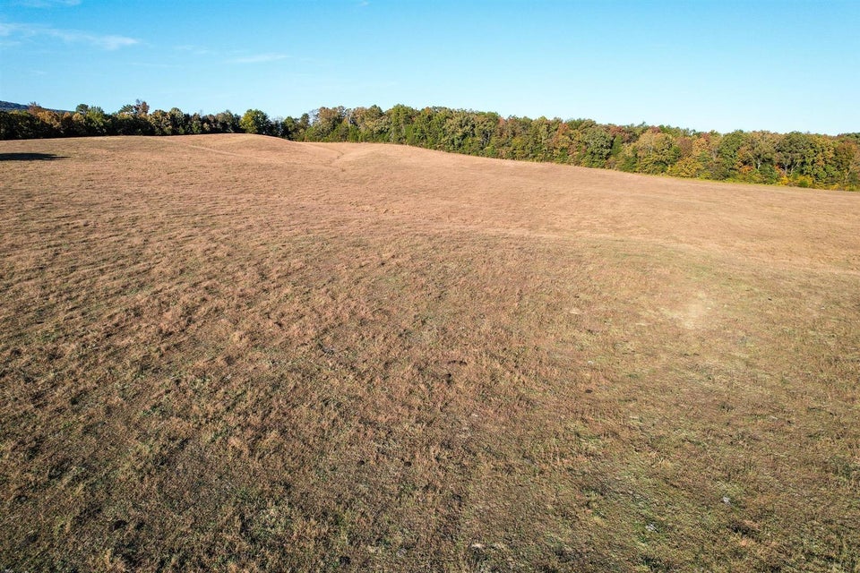 Photo #15: 72.65 Ac Horton Highway