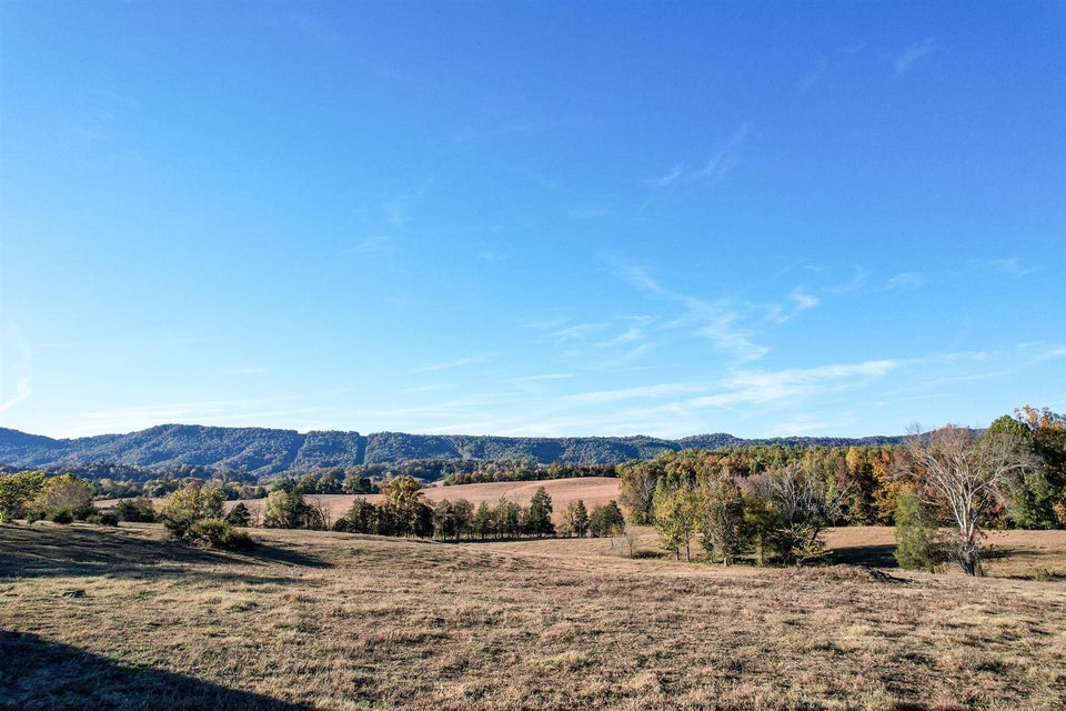 Photo #16: 72.65 Ac Horton Highway